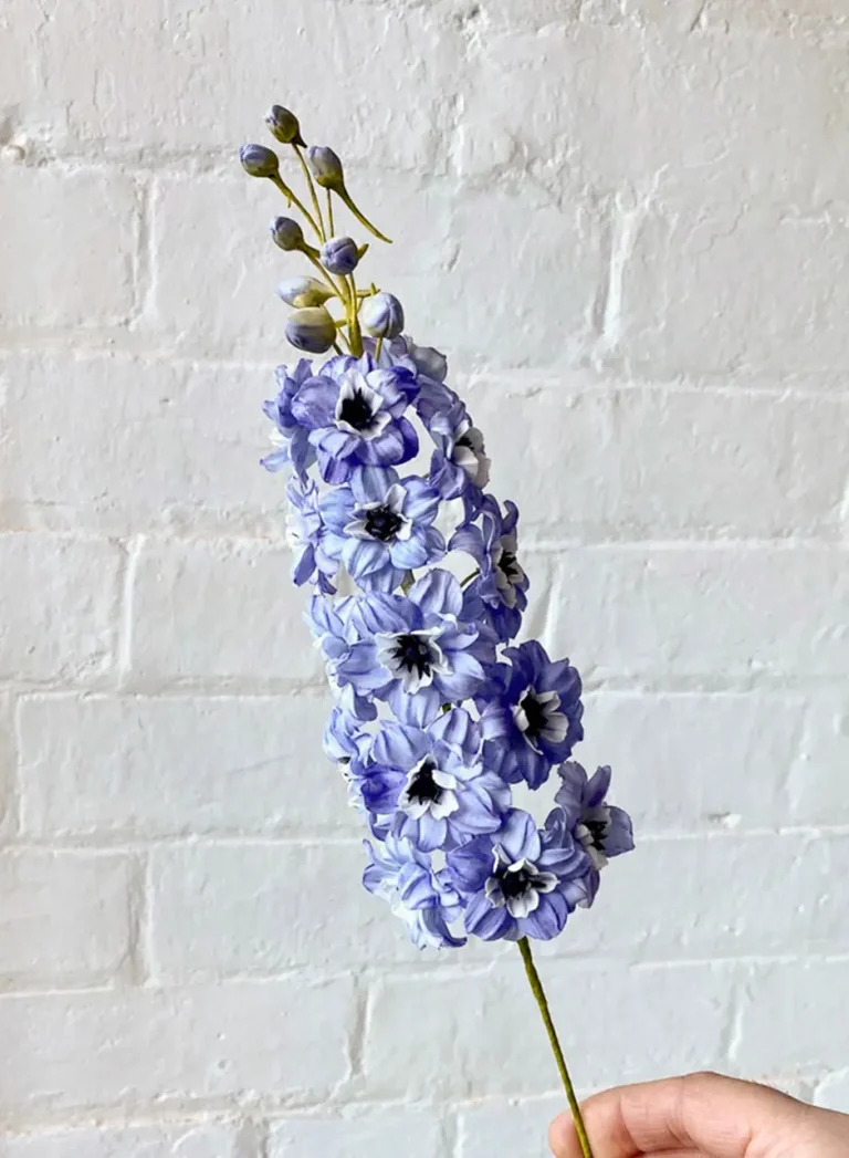 Ben the cake man - Creation 2 - Ambassadors - Roxy & Rich