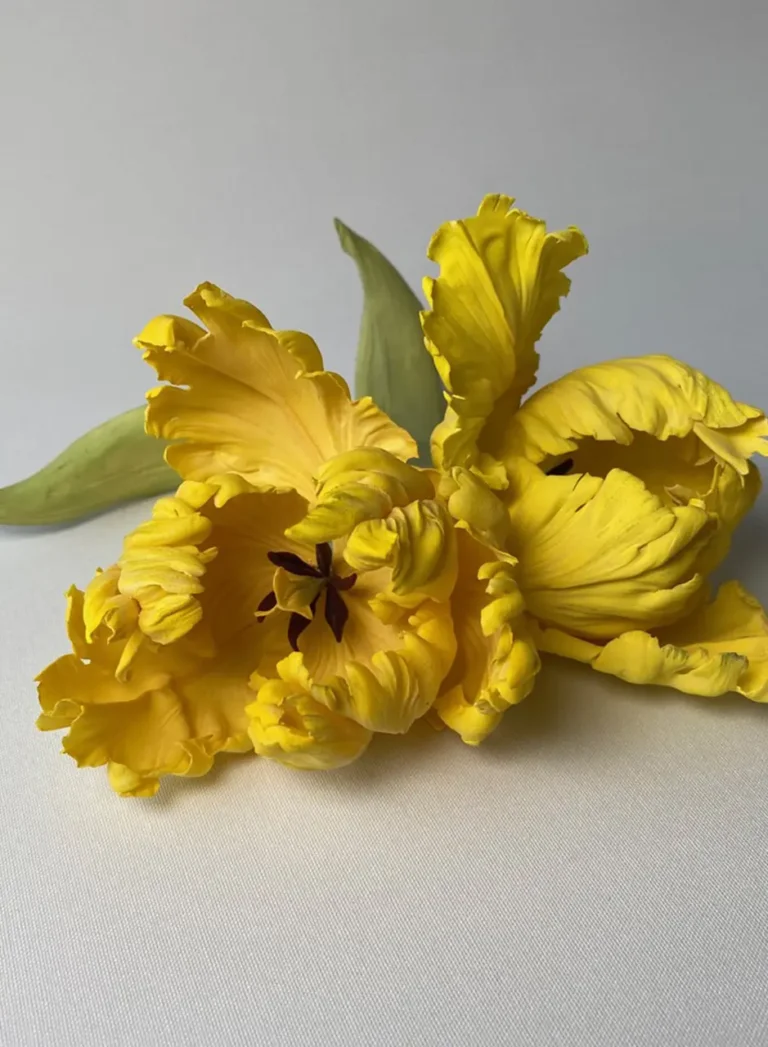 Ben the cake man - Creation 4 - Ambassadors - Roxy & Rich